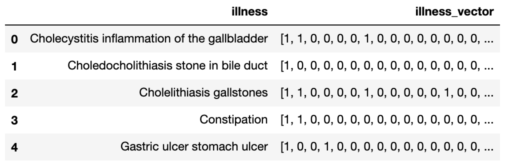 Figure 4: Example of illness dataframe with illness vectors